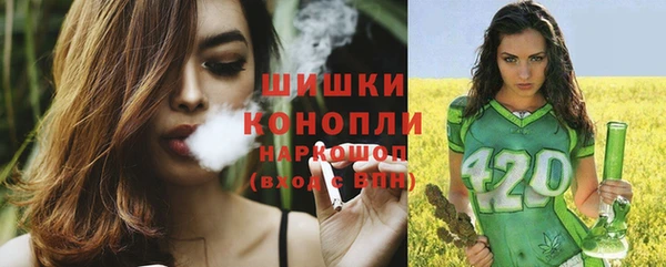 spice Армянск