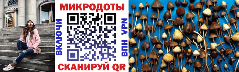 Псилоцибиновые грибы MAGIC MUSHROOMS  Черноголовка 